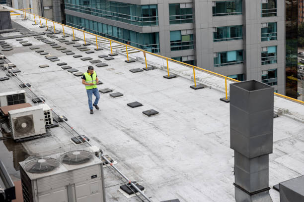 Best Roof Maintenance and Cleaning  in River Rouge, MI