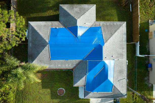 Best Roof Coating and Sealing  in River Rouge, MI