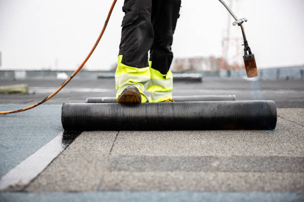 Best Roof Insulation Installation  in River Rouge, MI